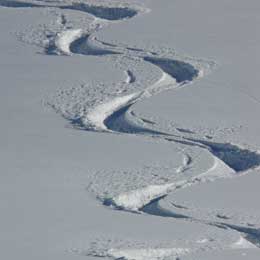 Snowboardschuhe und Softboots leihen im Skiverleih Postwiese Snowboard fahren lernen